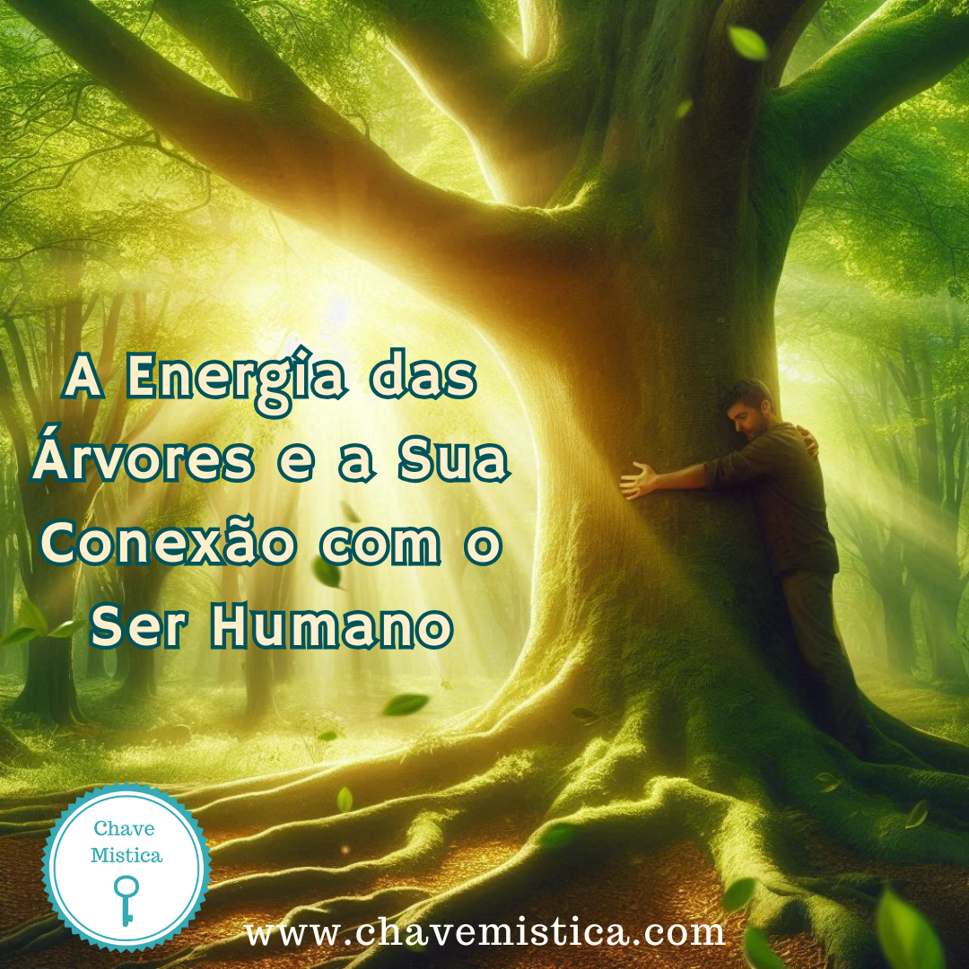 A Energia das Árvores e a Sua Conexão com o Ser Humano