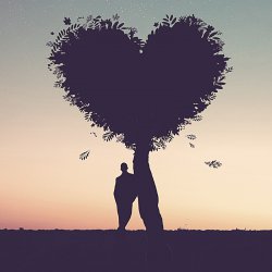 Salmo 111 - Para encontrar o Amor