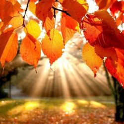 Mabon - Equincio de Outono