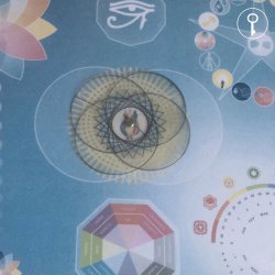 Mesa Radinica - O Que Esperar?