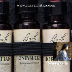 Seja a sua melhor vers�o!