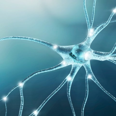 Desprograma��o Neurobiol�gica