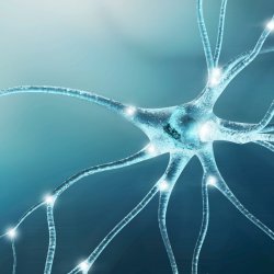 Desprograma��o Neurobiol�gica