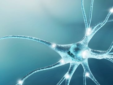 Desprograma��o Neurobiol�gica