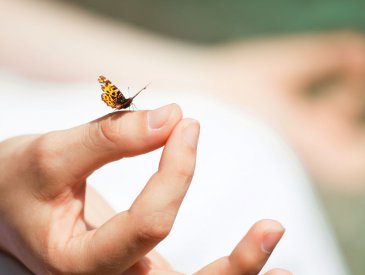 Medita��o Guiada