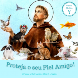Proteja o seu Fiel Amigo!