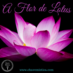 A Flor de Lotus