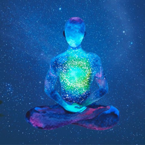 Apometria Corte e Limpeza