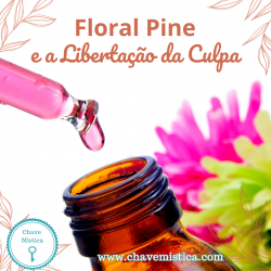 Floral Pine e a Liberta��o da Culpa