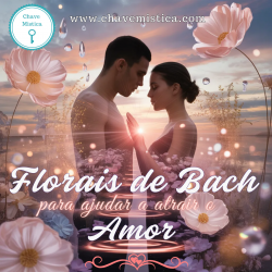 Florais de Bach para ajudar a atrair o Amor